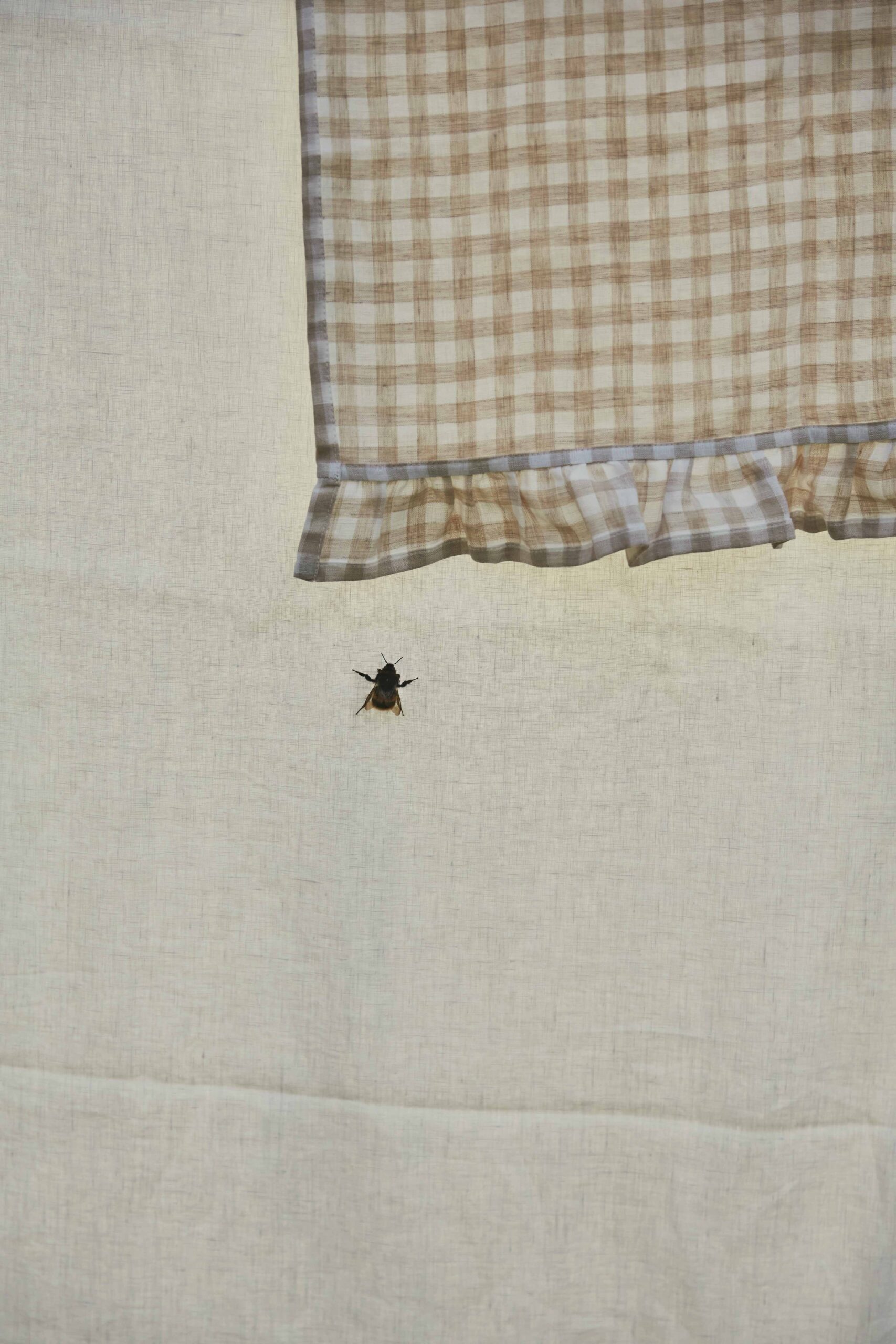 Fabrics