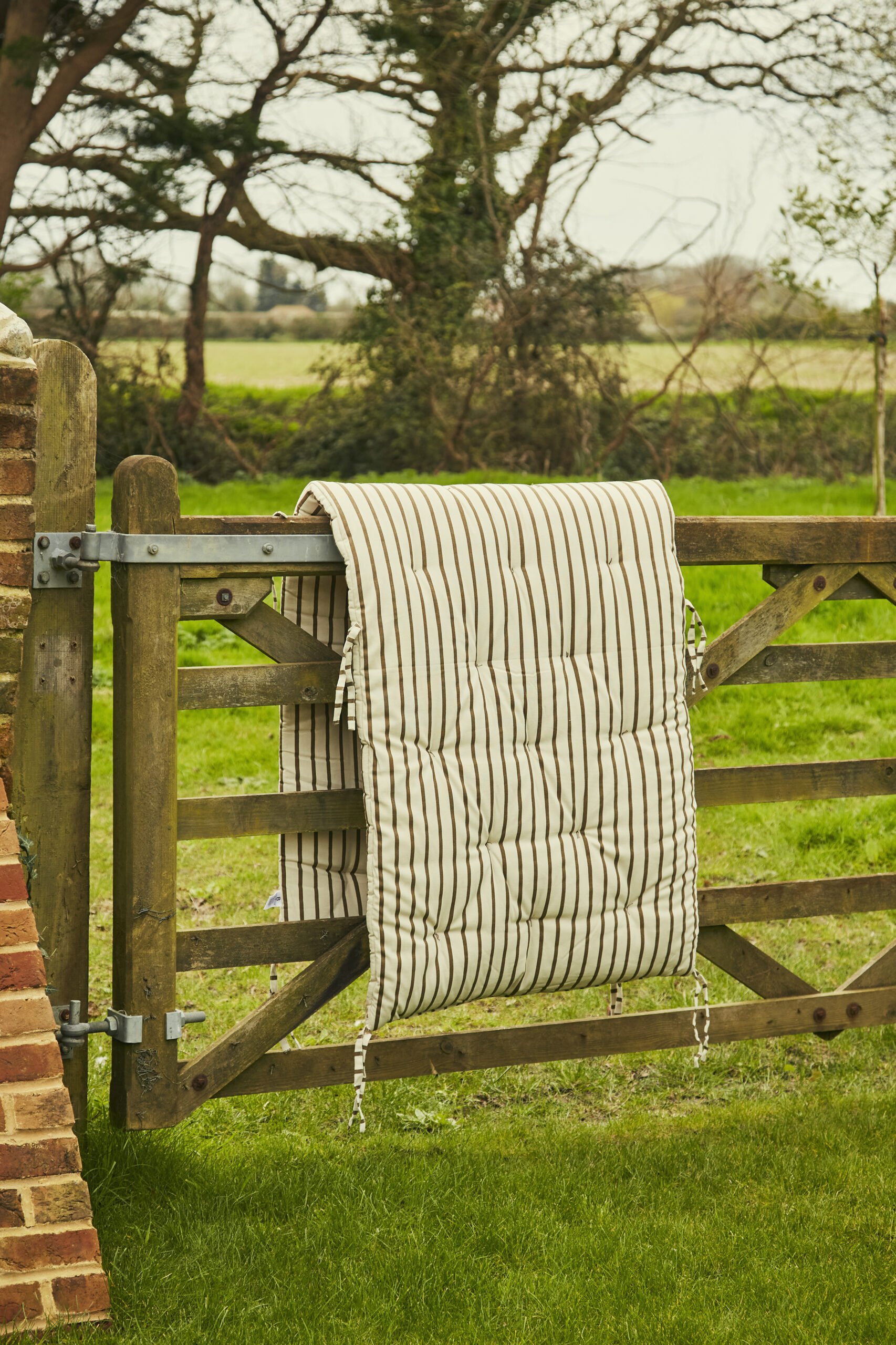 Cushions and Matresses