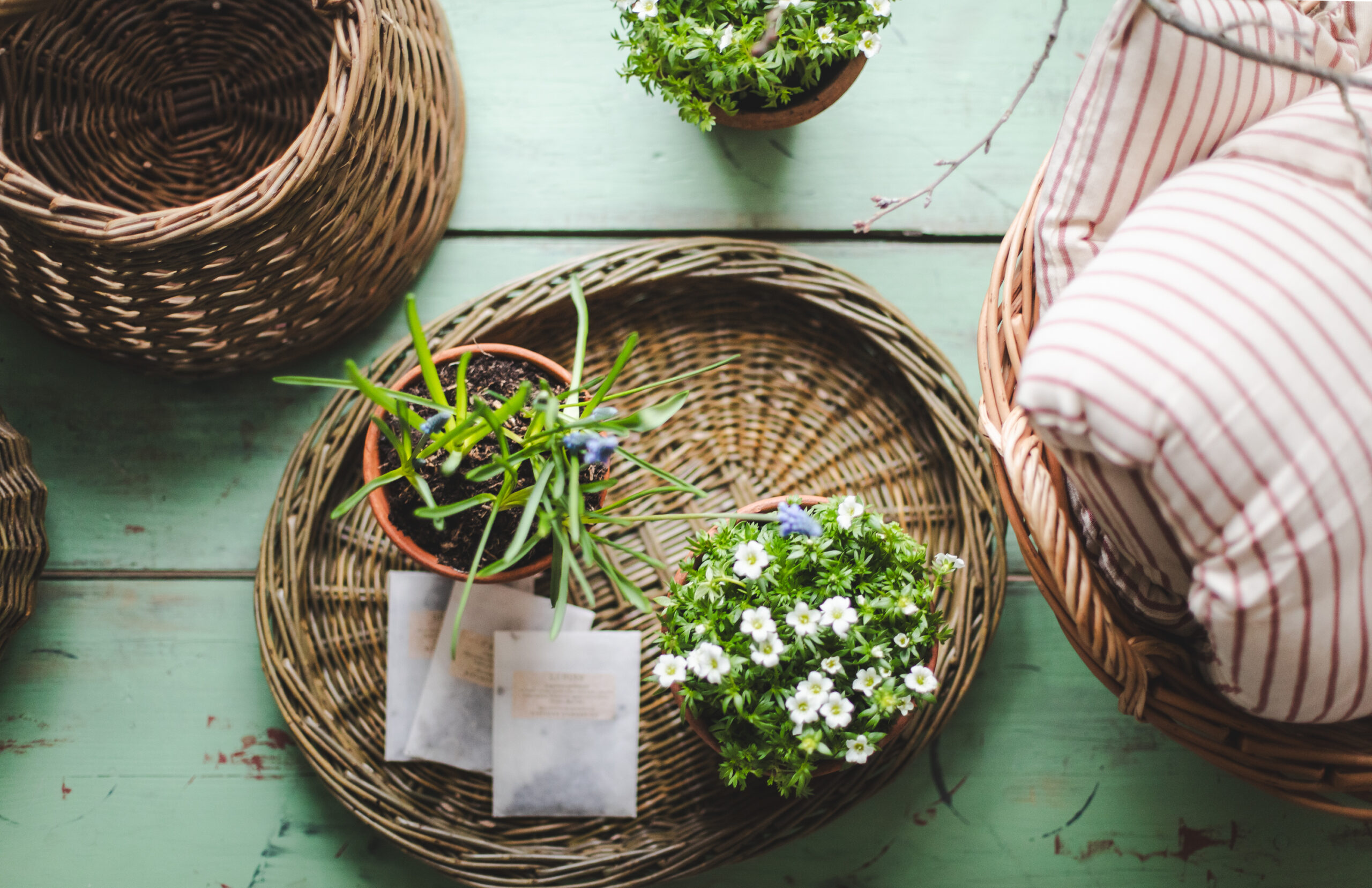 sorbetliving-spring-living-40512026