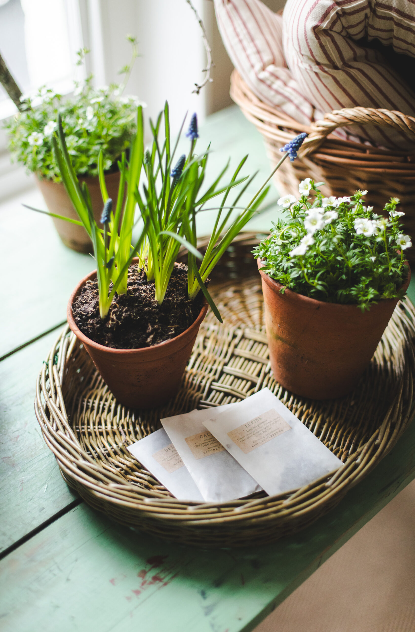 sorbetliving-spring-living-40592026