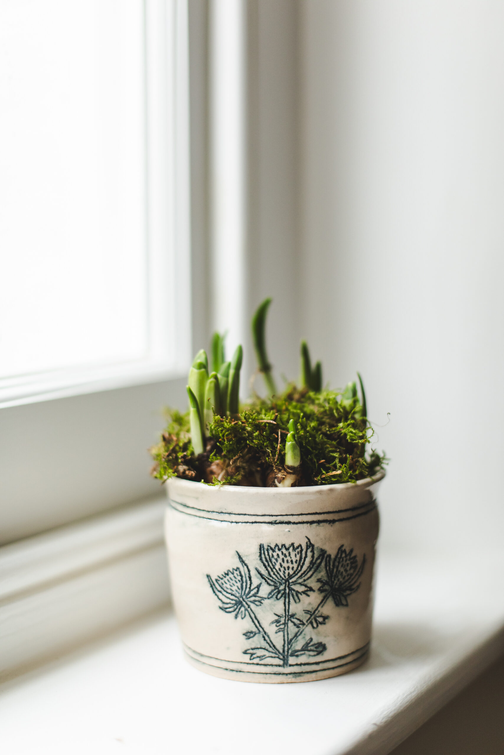 sorbetliving-spring-decorative-vase-thistle-34942026