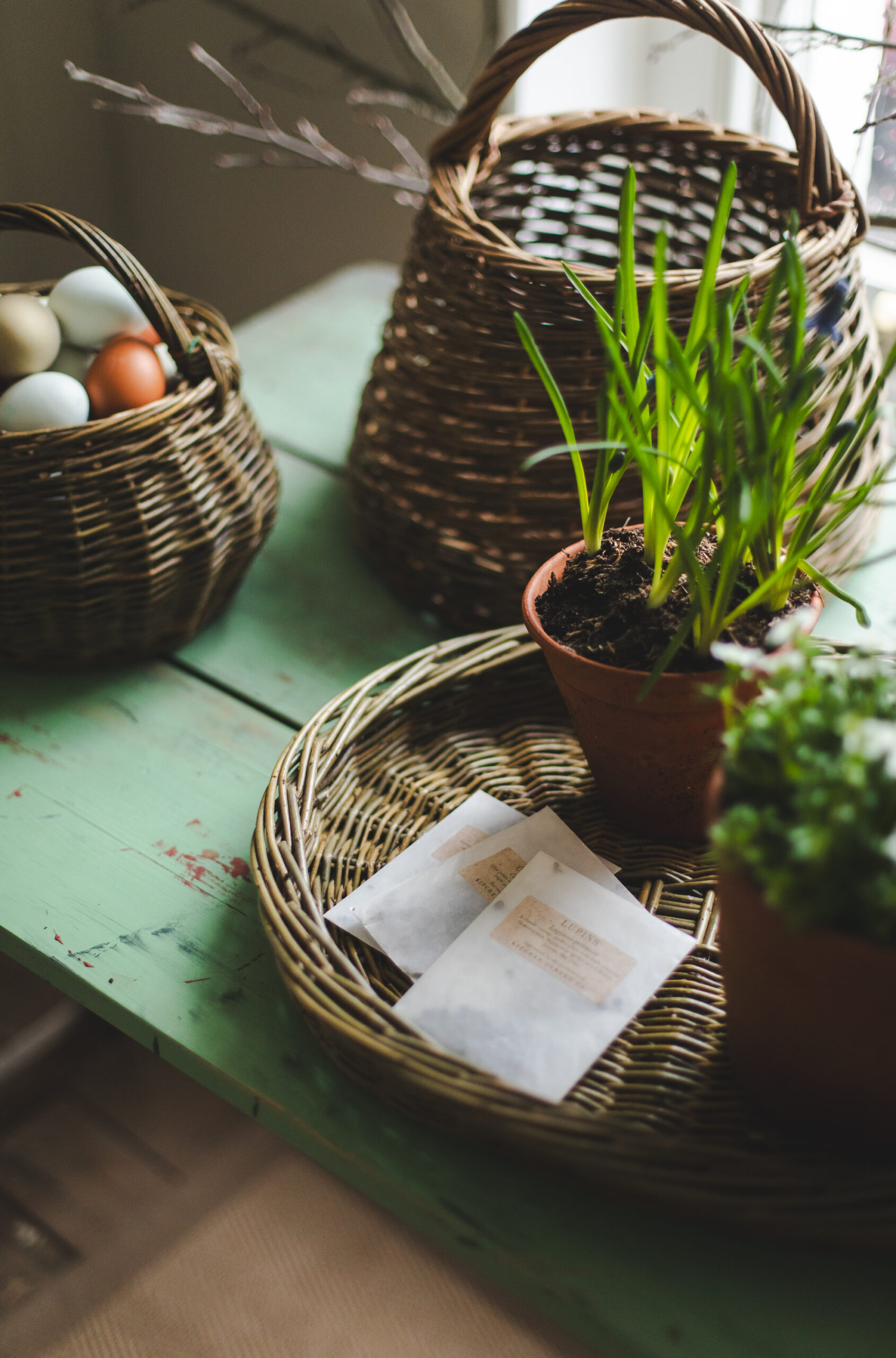 sorbetliving-spring-living-40402026