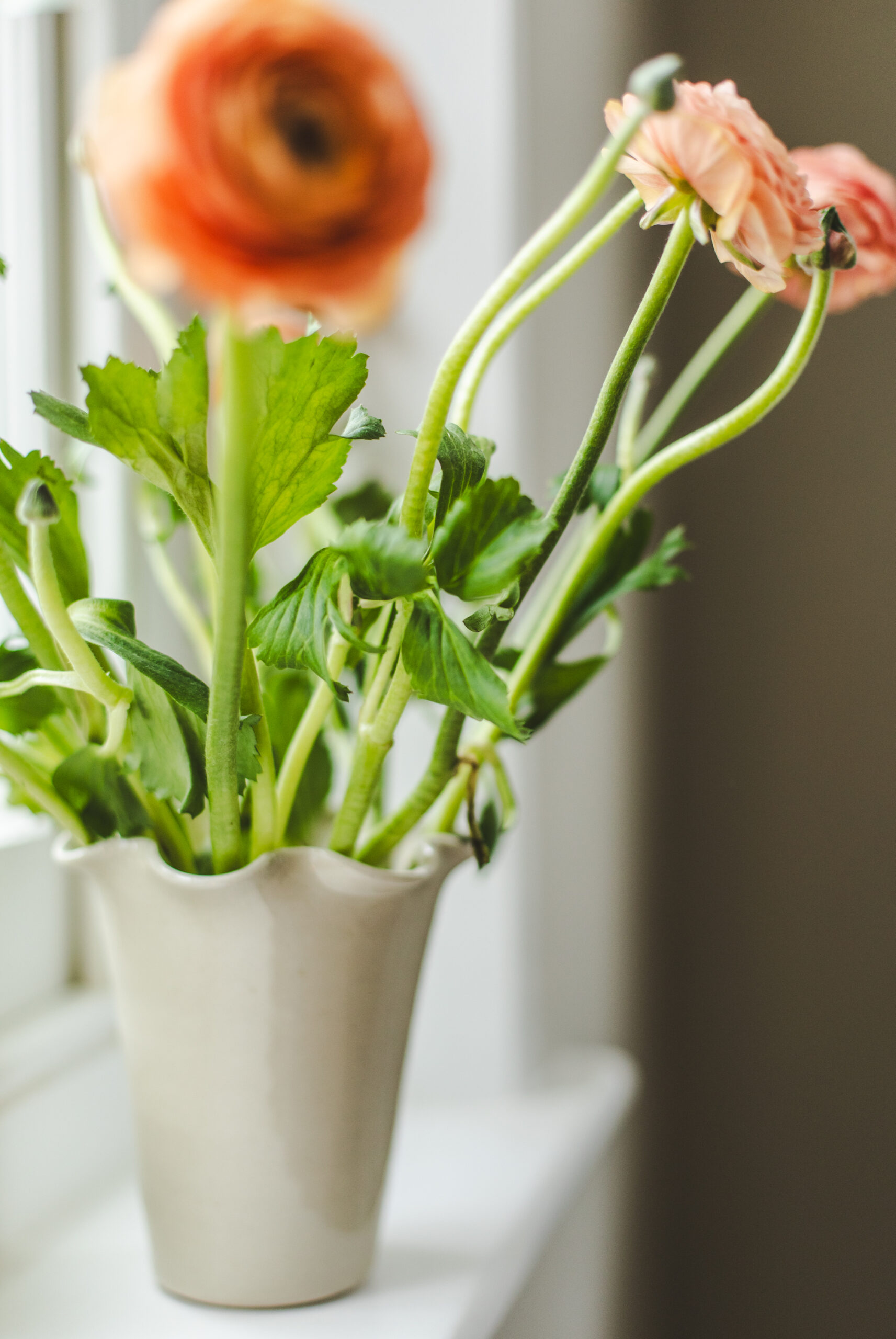 sorbetliving-spring-ruffle-vase-37892026