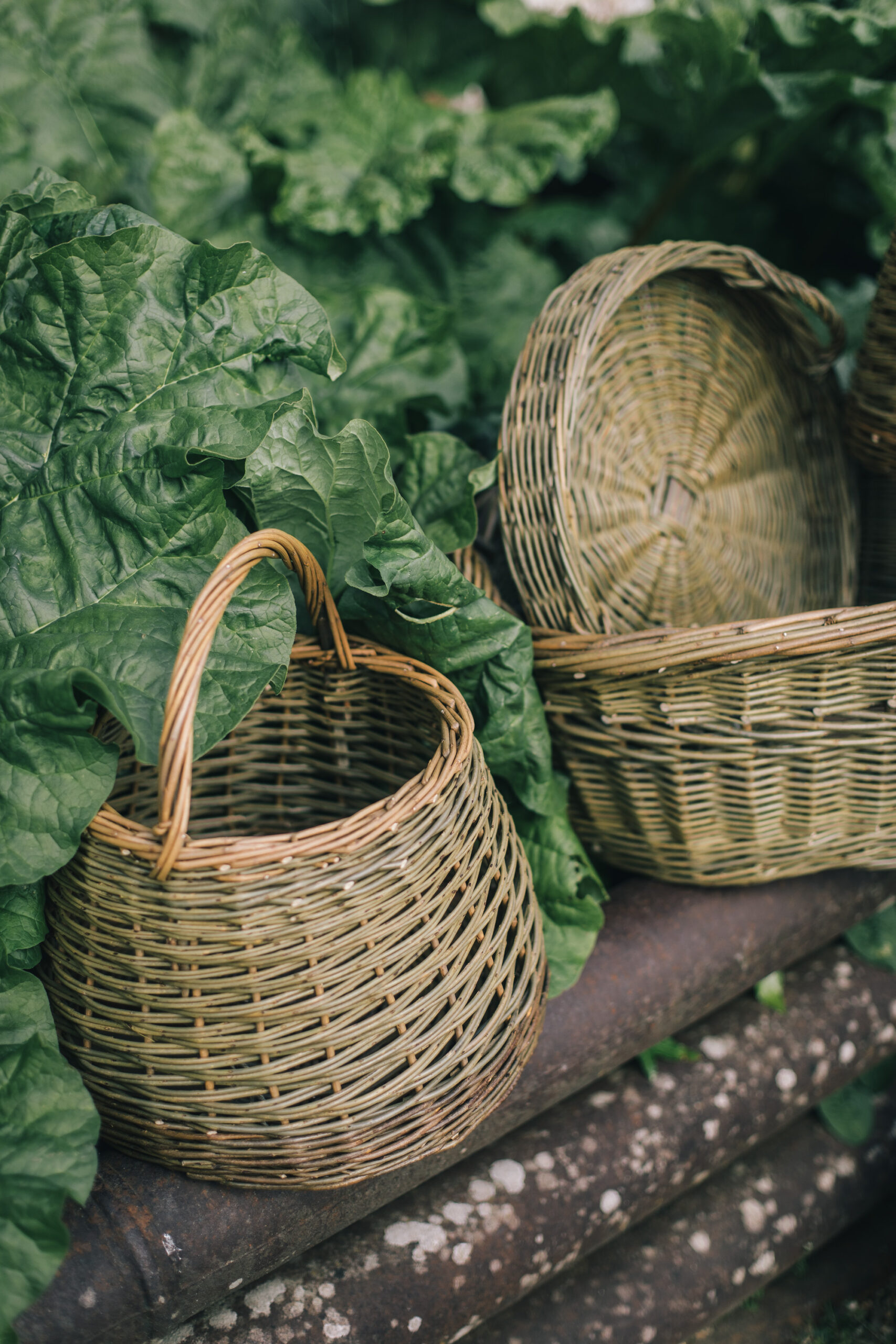 sorbet-living-baskets-71012026