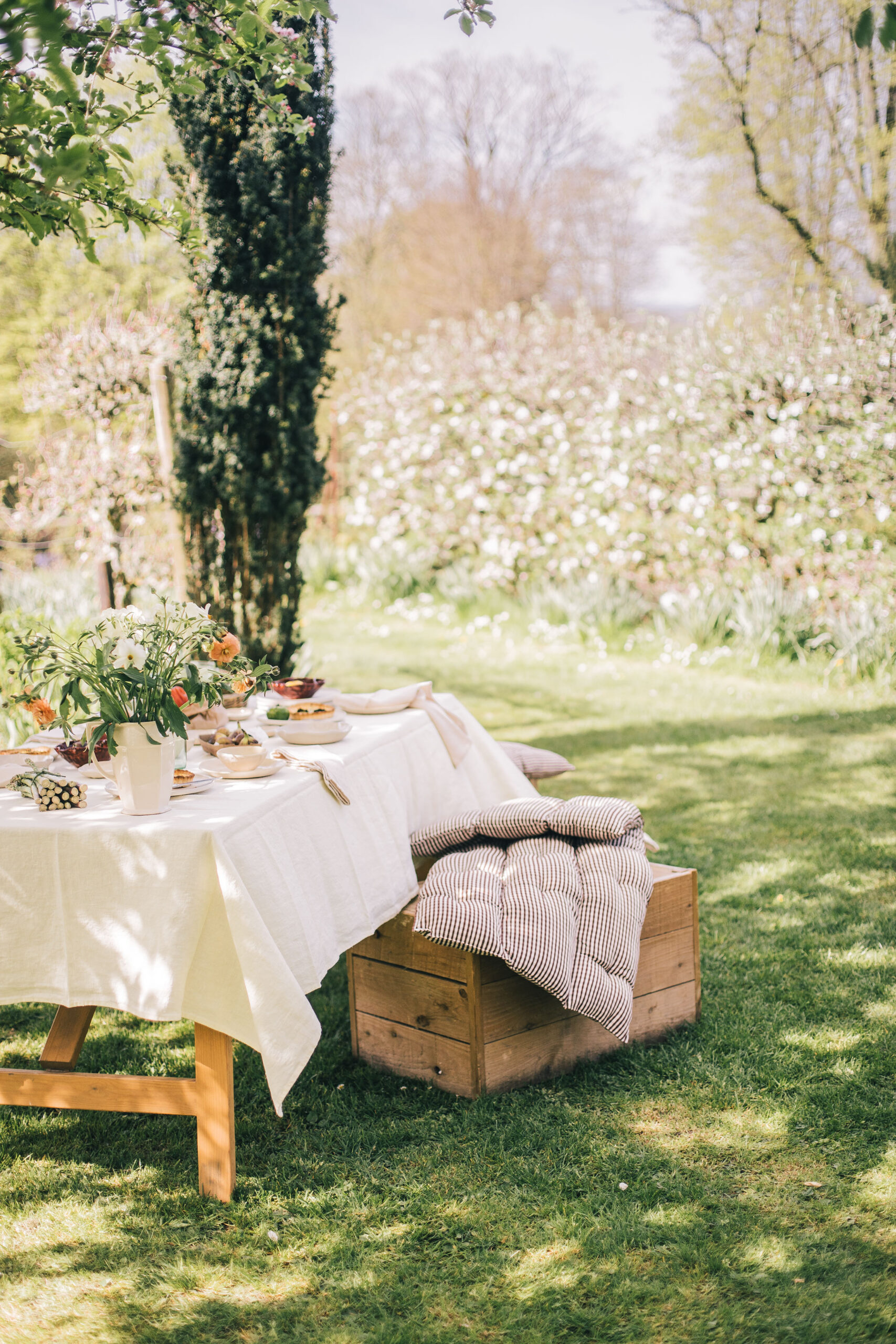 sorbet-living-dining-58682026