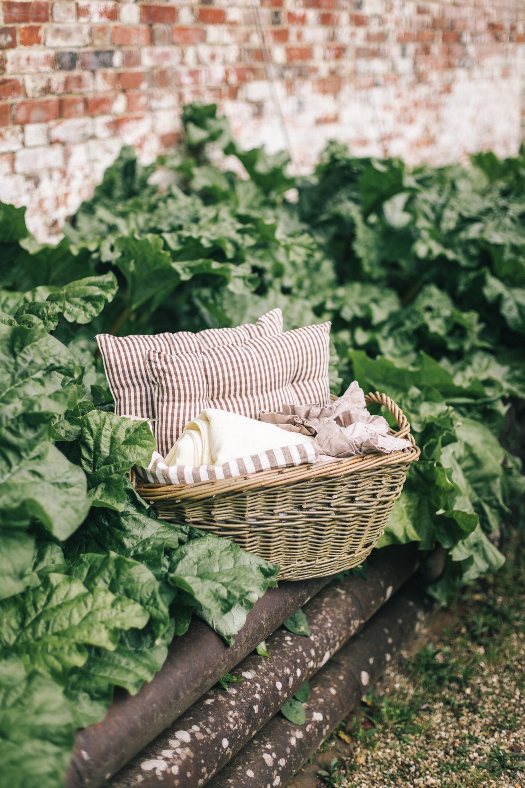 sorbet-living-laundry-basket-70722026