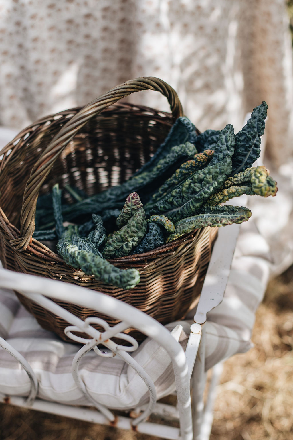 SorbetLivingAW26_AbbieMelle_round_shopper_handmade_willow_basket_108