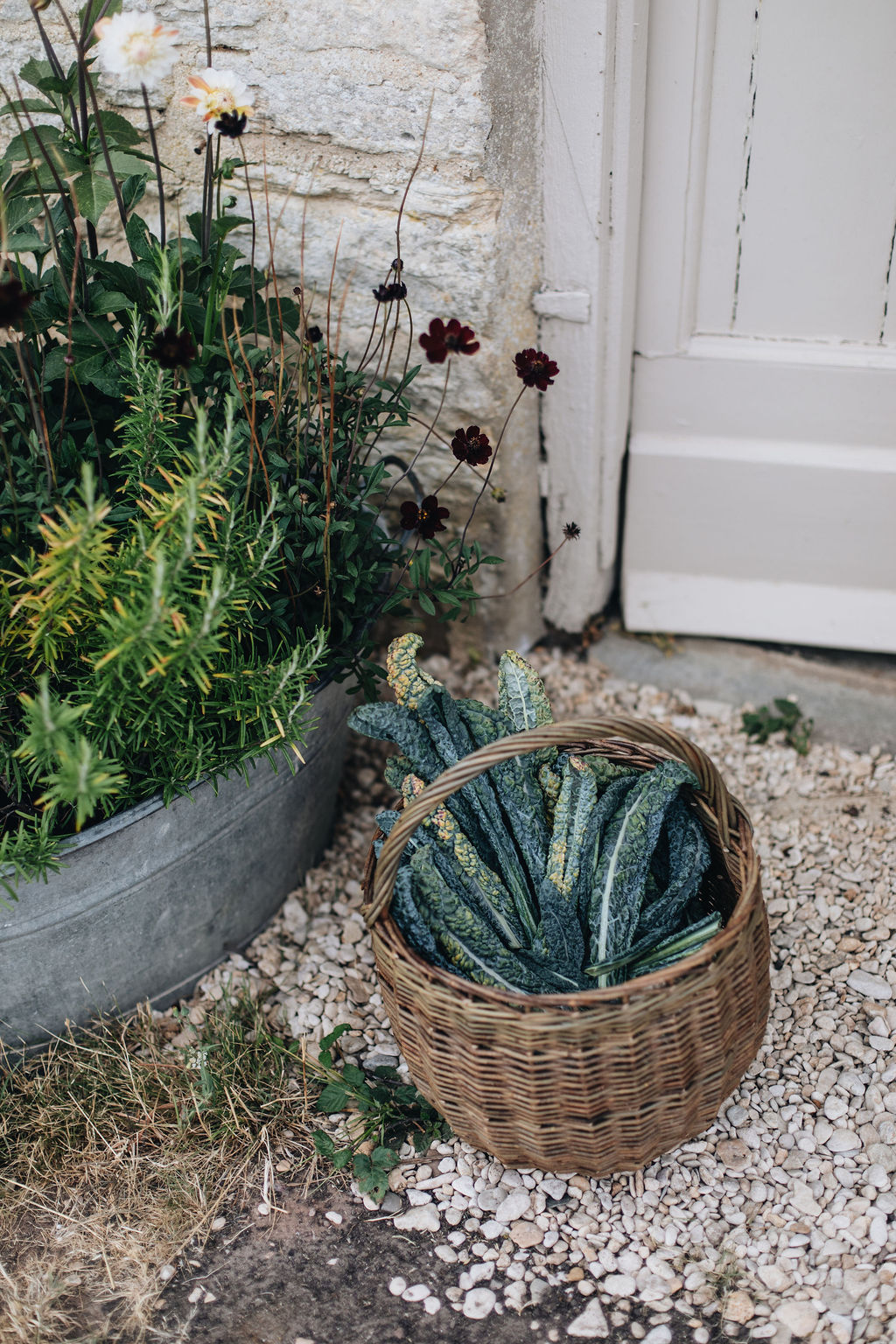 SorbetLivingAW26_AbbieMelle_round_shopper_handmade_willow_basket_130