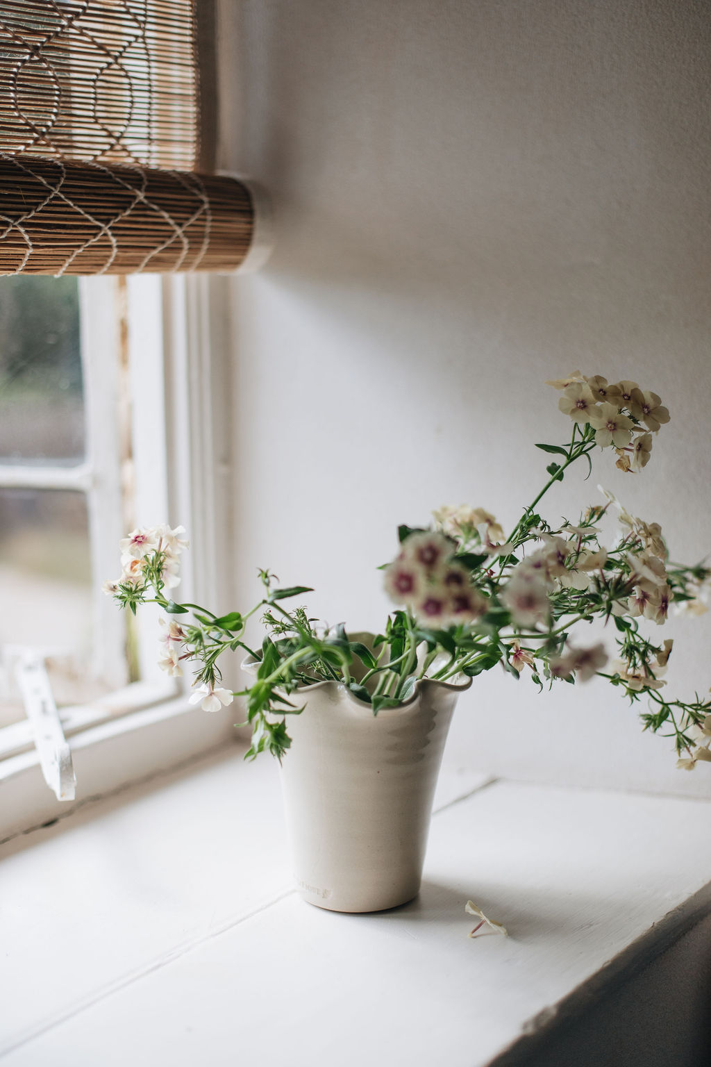 SorbetLivingAW26_AbbieMelle_ruffle_vase_22
