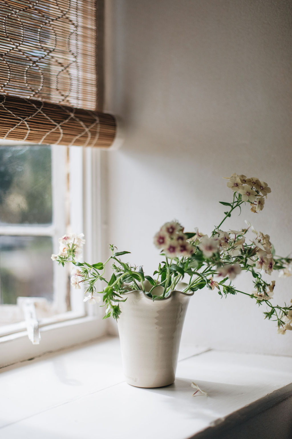 SorbetLivingAW26_AbbieMelle_ruffle_vase_23